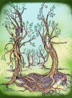 Dancing Forest